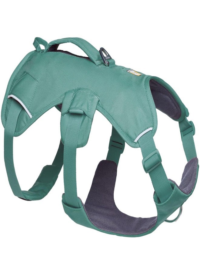 Ruffwear, Web Master, Multi-Use Support Dog Harness, Hiking and Trail Running, Service and Working, Everyday Wear, River Rock Green, Medium - Image 1